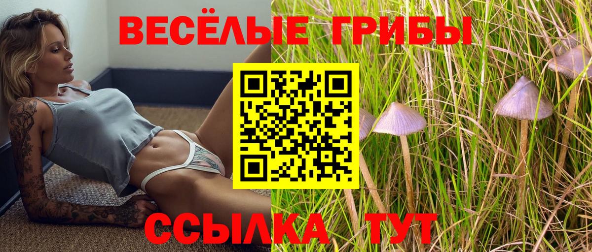 Псилоцибиновые грибы мицелий  Псилоцибиновые грибы Cubensis  Торжок  Вход с VPN 