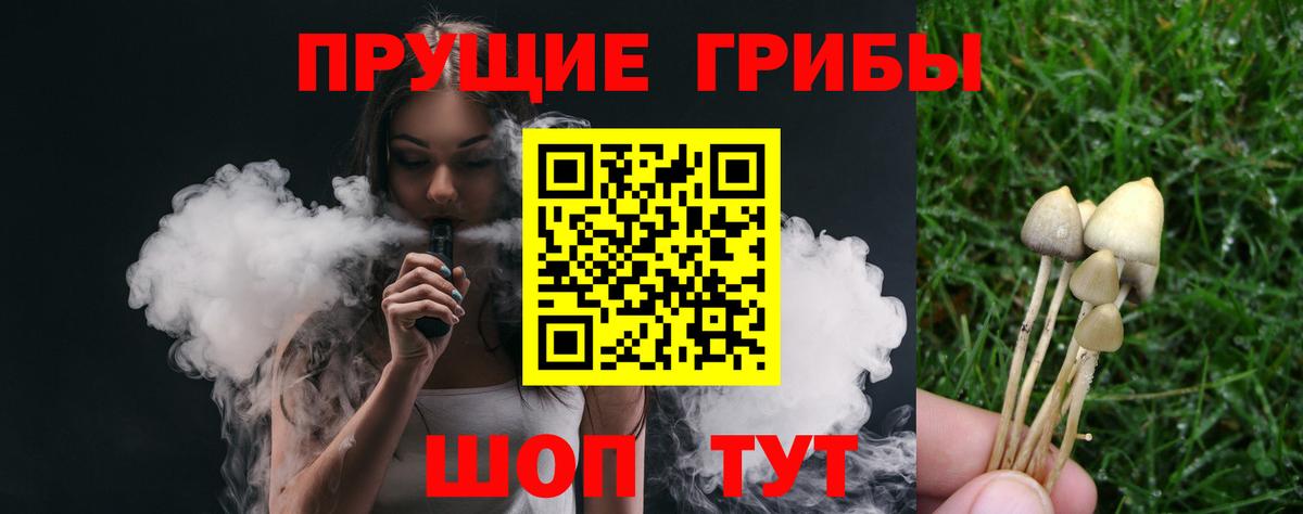 Псилоцибиновые грибы ЛСД Торжок